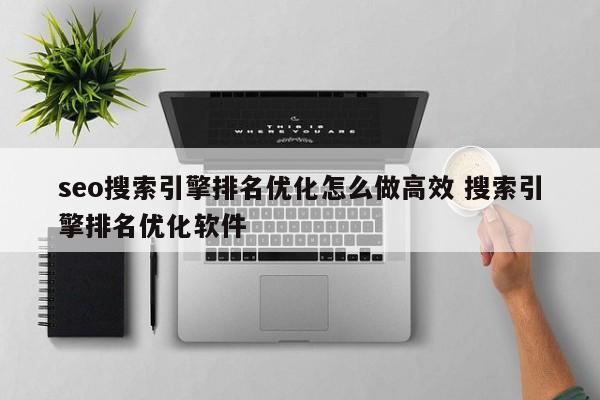 seo搜索引擎排名优化怎么做高效 搜索引擎排名优化软件