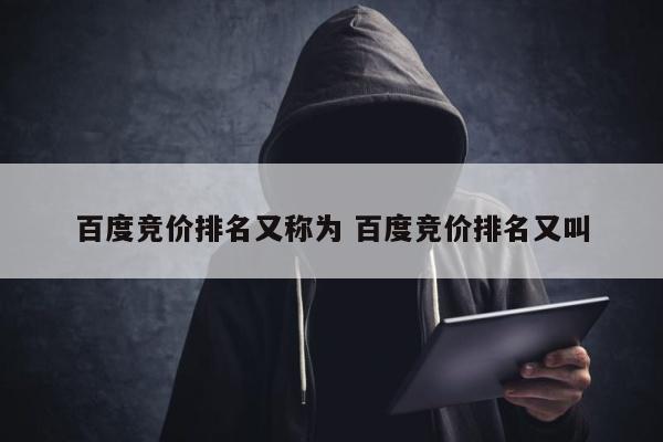 百度竞价排名又称为 百度竞价排名又叫