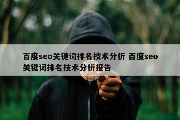 百度seo关键词排名技术分析 百度seo关键词排名技术分析报告