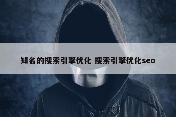 知名的搜索引擎优化 搜索引擎优化seo