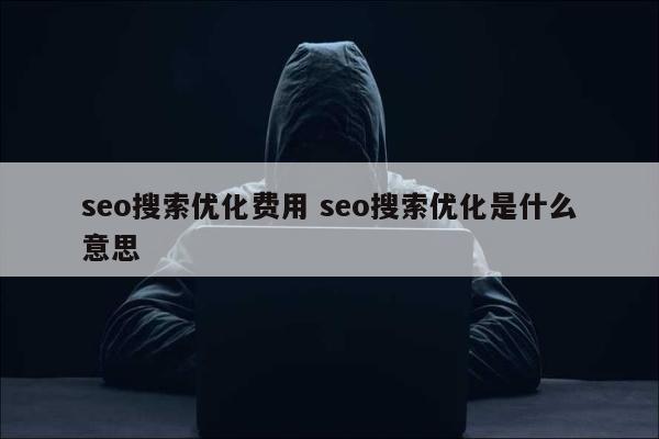 seo搜索优化费用 seo搜索优化是什么意思