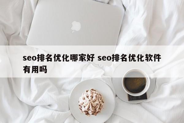 seo排名优化哪家好 seo排名优化软件有用吗