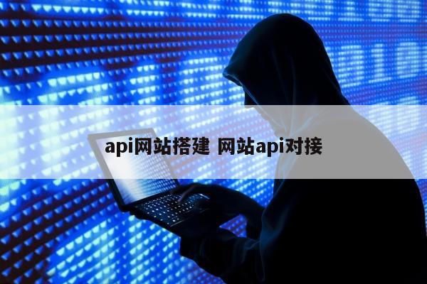 api网站搭建 网站api对接