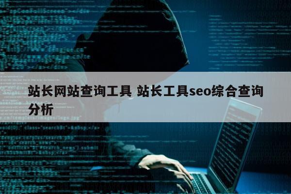 站长网站查询工具 站长工具seo综合查询分析