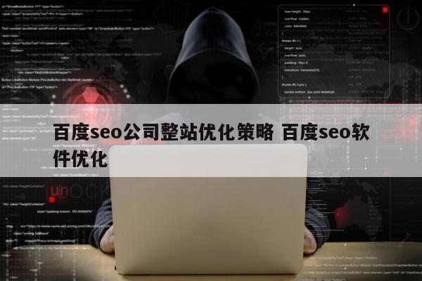 百度seo公司整站优化策略 百度seo软件优化