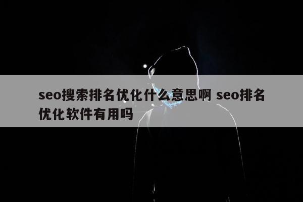 seo搜索排名优化什么意思啊 seo排名优化软件有用吗