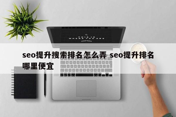 seo提升搜索排名怎么弄 seo提升排名哪里便宜