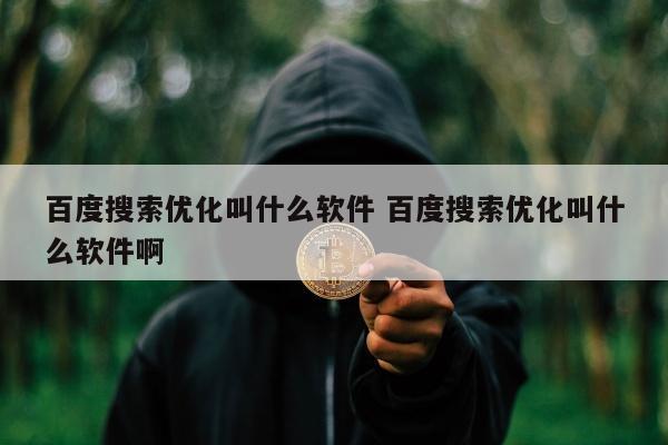 百度搜索优化叫什么软件 百度搜索优化叫什么软件啊