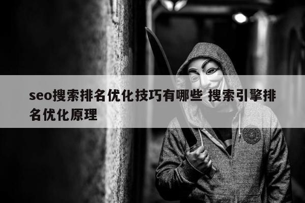 seo搜索排名优化技巧有哪些 搜索引擎排名优化原理