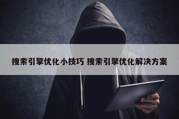 搜索引擎优化小技巧 搜索引擎优化解决方案