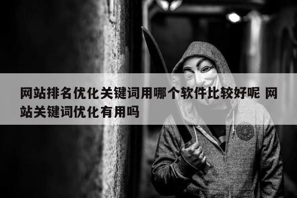 网站排名优化关键词用哪个软件比较好呢 网站关键词优化有用吗