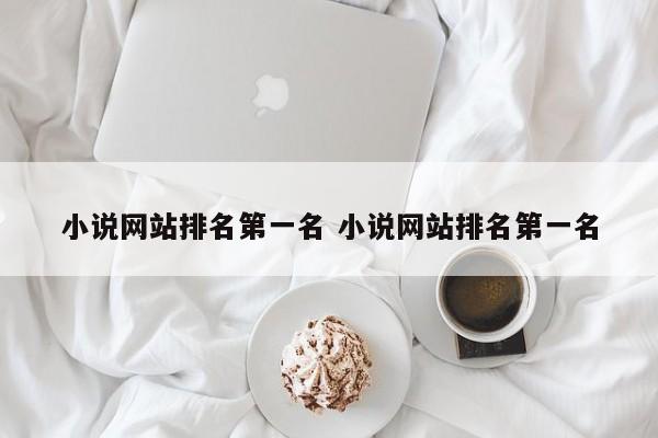 小说网站排名第一名 小说网站排名第一名