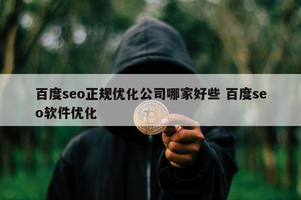 百度seo正规优化公司哪家好些 百度seo软件优化