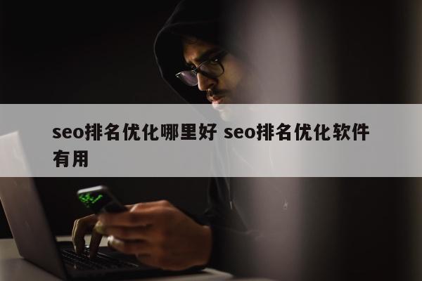 seo排名优化哪里好 seo排名优化软件有用