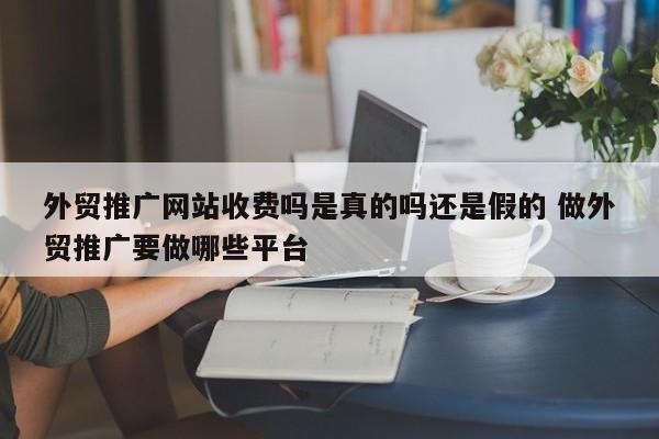 外贸推广网站收费吗是真的吗还是假的 做外贸推广要做哪些平台