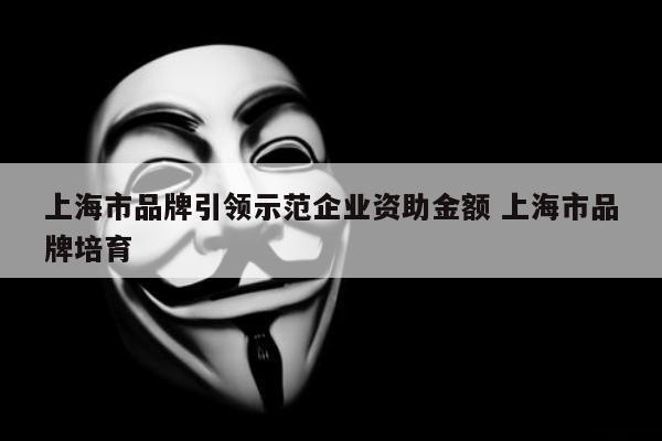 上海市品牌引领示范企业资助金额 上海市品牌培育