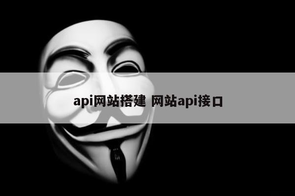 api网站搭建 网站api接口