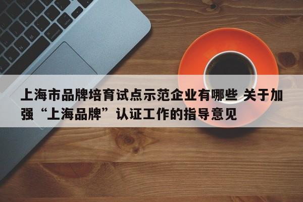 上海市品牌培育试点示范企业有哪些 关于加强“上海品牌”认证工作的指导意见