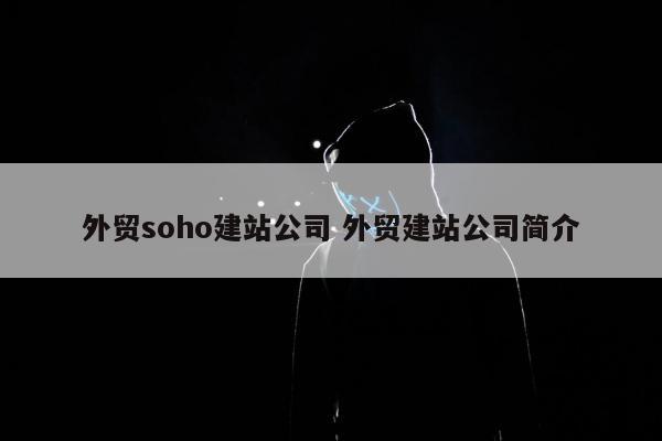 外贸soho建站公司 外贸建站公司简介