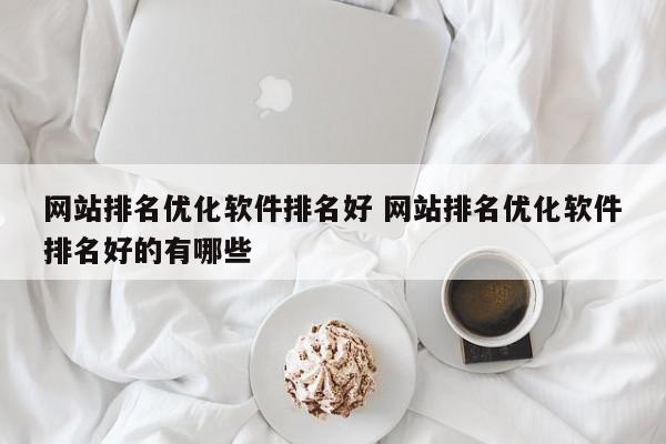 网站排名优化软件排名好 网站排名优化软件排名好的有哪些