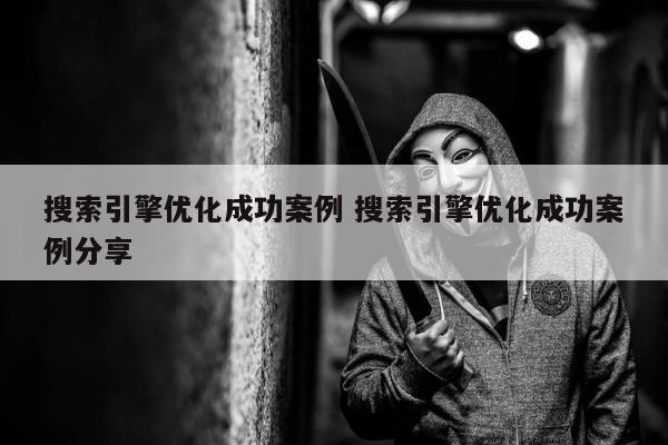 搜索引擎优化成功案例 搜索引擎优化成功案例分享