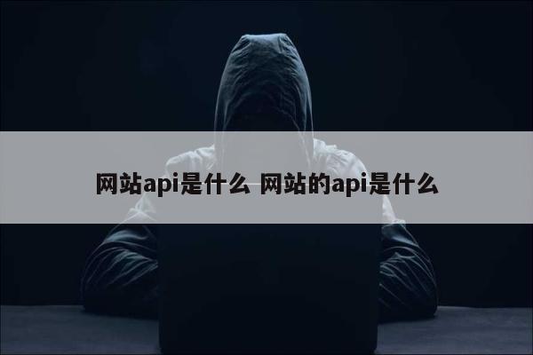 网站api是什么 网站的api是什么