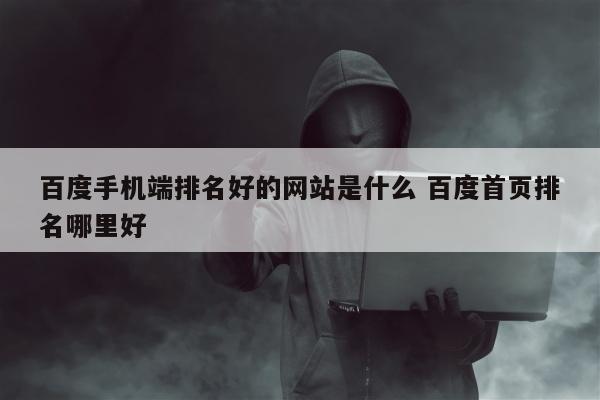 百度手机端排名好的网站是什么 百度首页排名哪里好