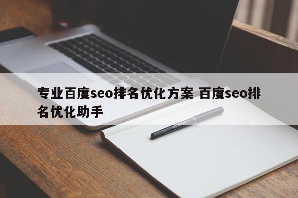 专业百度seo排名优化方案 百度seo排名优化助手