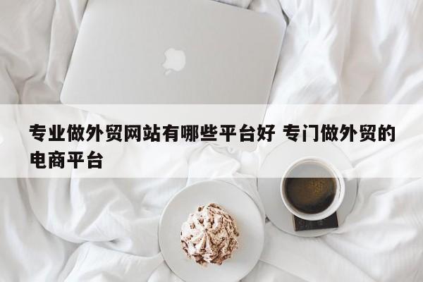 专业做外贸网站有哪些平台好 专门做外贸的电商平台