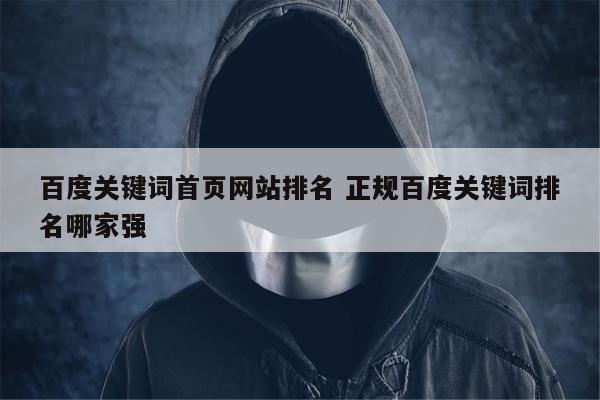 百度关键词首页网站排名 正规百度关键词排名哪家强