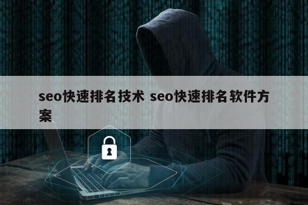 seo快速排名技术 seo快速排名软件方案