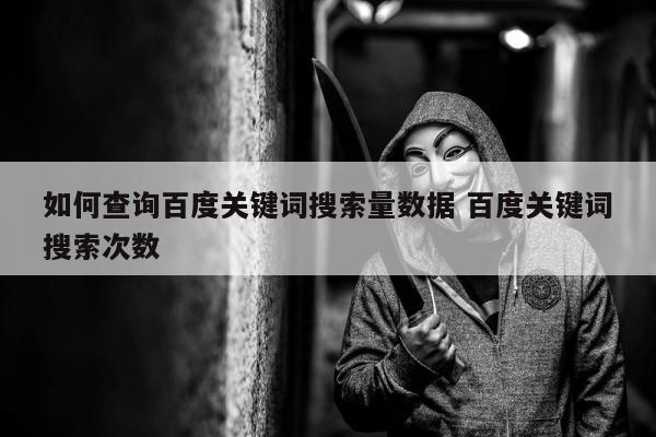 如何查询百度关键词搜索量数据 百度关键词搜索次数