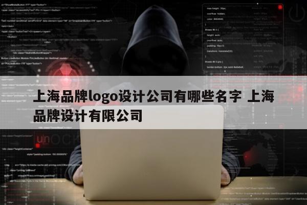 上海品牌logo设计公司有哪些名字 上海品牌设计有限公司