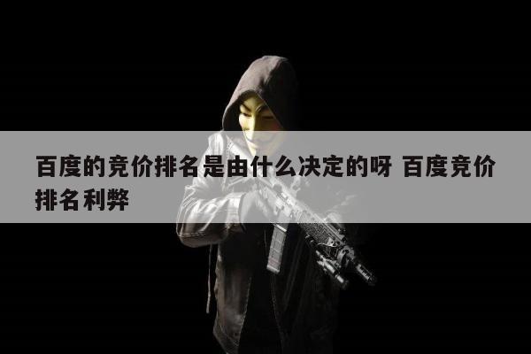 百度的竞价排名是由什么决定的呀 百度竞价排名利弊