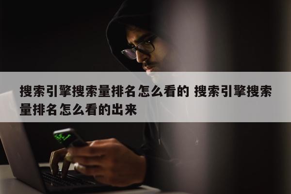 搜索引擎搜索量排名怎么看的 搜索引擎搜索量排名怎么看的出来