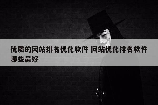 优质的网站排名优化软件 网站优化排名软件哪些最好