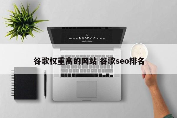 谷歌权重高的网站 谷歌seo排名