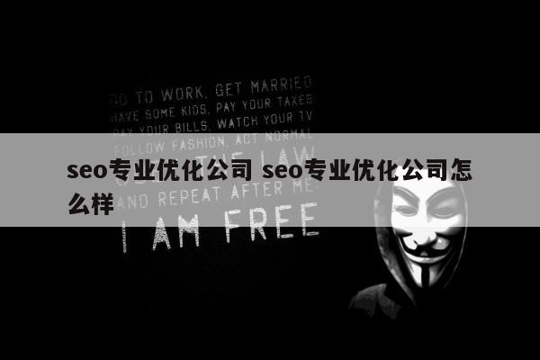 seo专业优化公司 seo专业优化公司怎么样