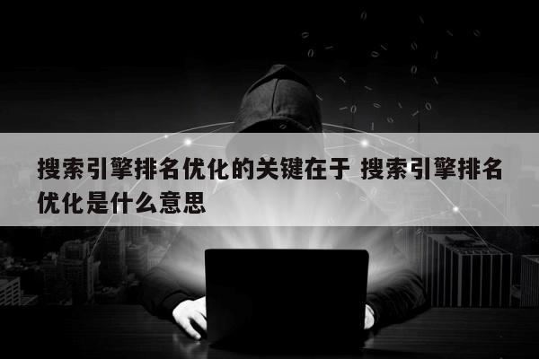 搜索引擎排名优化的关键在于 搜索引擎排名优化是什么意思