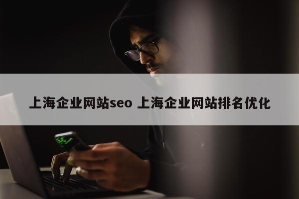 上海企业网站seo 上海企业网站排名优化