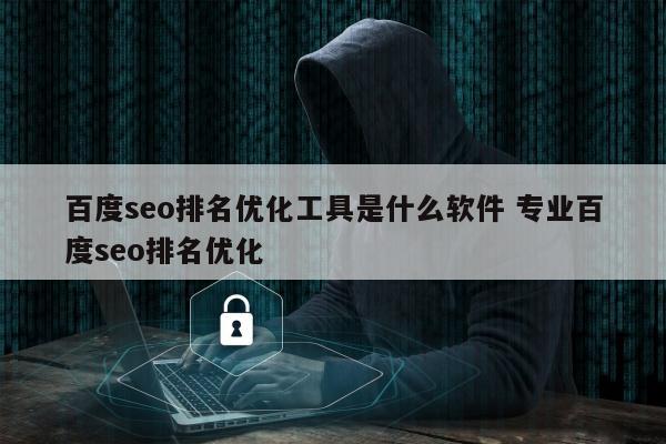 百度seo排名优化工具是什么软件 专业百度seo排名优化