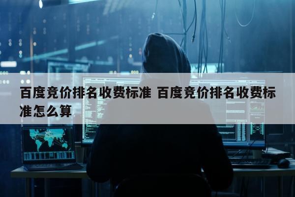 百度竞价排名收费标准 百度竞价排名收费标准怎么算